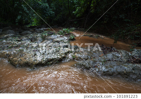 Natural landscape with small muddy river going through dark rain forest 101891223