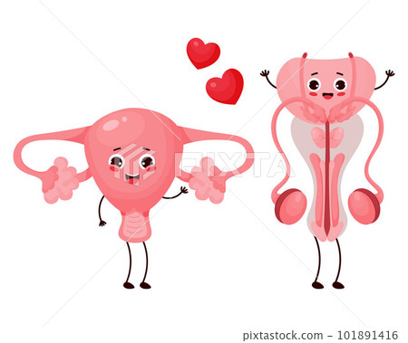 Cute cartoon reproductive organs. Happy characters female uterus and male penis in love. Vector illustration. Human funny genitals for design and decoration of medical themes, childrens collection. 101891416