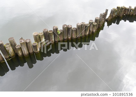 東京都大田區奎區洗足池 101891536