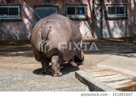 Kamine Park, Hitachi City, Ibaraki Prefecture 101891607
