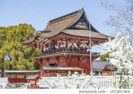 Tosho Daigongen Iga Hachimangu Shrine (Okazaki City, Aichi Prefecture) Zuishinmon 101891969