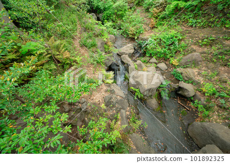 Falling waterfall in the park Falling waterfall in the park 101892325