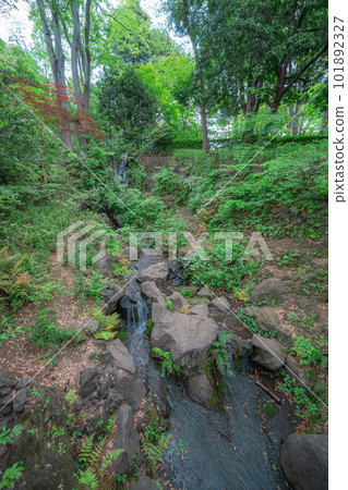 落在公園的瀑布 101892327
