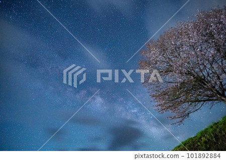 銀河和櫻花 長野縣 101892884