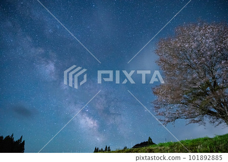 銀河和櫻花 長野縣 101892885