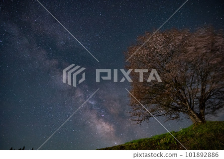 銀河和櫻花 長野縣 101892886