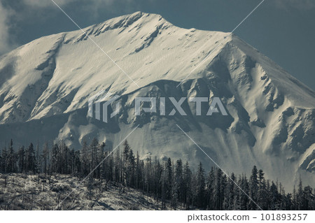 snow-covered forest against the backdrop of the peak of Tatra, Poland snow-covered forest against the backdrop of the peak of Tatra, Poland 101893257