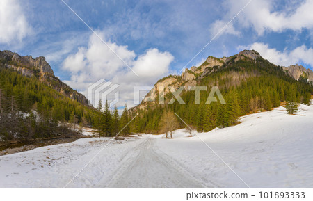 Hiking trail in Valley  Koscielisko. Western Tatras, National Park in Poland. 101893333