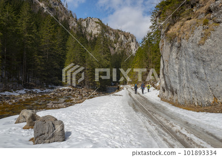 Hiking trail in Valley  Koscielisko. Western Tatras, National Park in Poland. 101893334