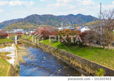 Tatsuta river in autumn 101893403