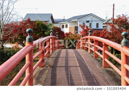 A red bridge over the Tatsuta River 101893404