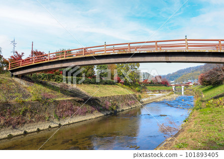 A red bridge over the Tatsuta River A red bridge over the Tatsuta River 101893405