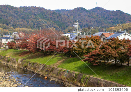 Autumn leaves coloring the banks of the Tatsuta River 101893406