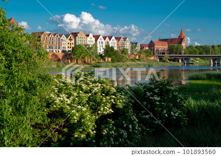 modern view of the city of Malbork and riverside of Nogat river in Malbork. Poland modern view of the city of Malbork and riverside of Nogat river in Malbork. Poland 101893560