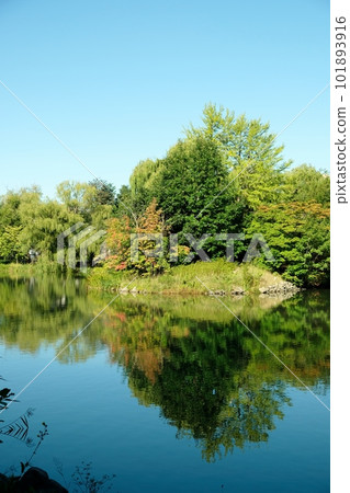 初秋的札幌中島公園 初秋的札幌中島公園 101893916