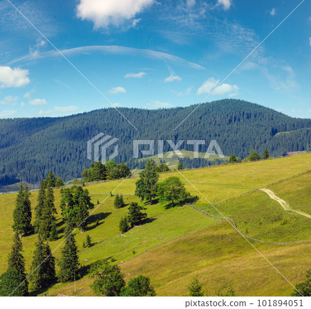 Summer mountain view (Carpathian, Ukraine). Summer mountain view (Carpathian, Ukraine). 101894051