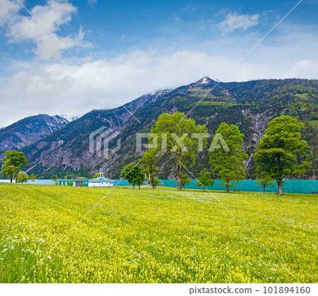 Achensee summer landscape (Austria). Achensee summer landscape (Austria). 101894160