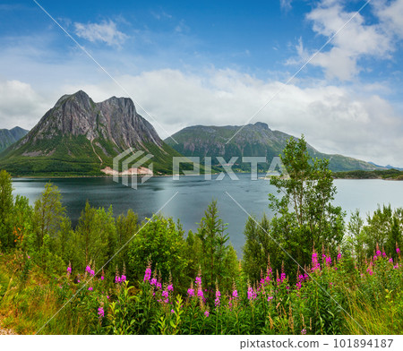 Fjord summer cloudy view, Norway Fjord summer cloudy view, Norway 101894187