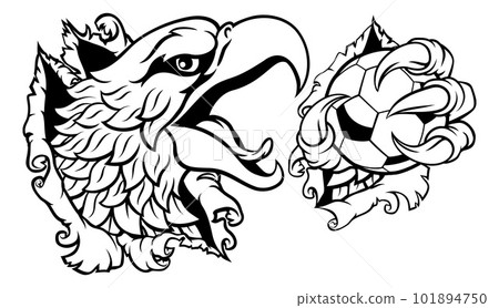 Bald Eagle Hawk Ripping Soccer Football Mascot Bald Eagle Hawk Ripping Soccer Football Mascot 101894750
