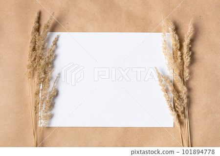 White paper empty blank for mock up with dried spikelets decoration on craft beige background. White paper empty blank for mock up with dried spikelets decoration on craft beige background. 101894778