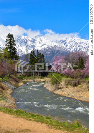 Spring Hakuba Village Oide Park 101895709