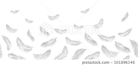 Seamless border, white feathers fall into the air on a white background. Background with copy space, vector Seamless border, white feathers fall into the air on a white background. Background with copy space, vector 101896148