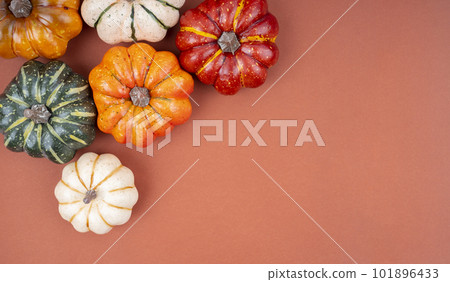 The Many pumpkin on red background with copy space on your text or message. 101896433