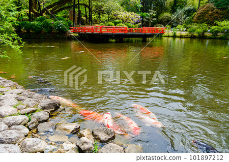 [奈良縣]奈良市萬葉植物園（拍攝於2023/04/18） 101897212