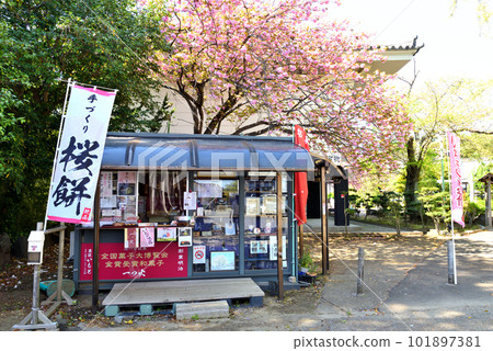 Japanese sweets shop at Fujisawa Temple Japanese sweets shop at Fujisawa Temple 101897381