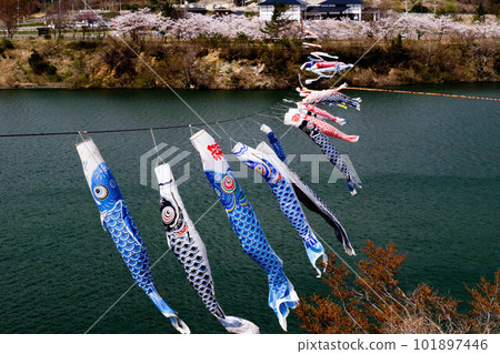 春天在水壩湖的 Koinobori 春天在水壩湖的 Koinobori 101897446