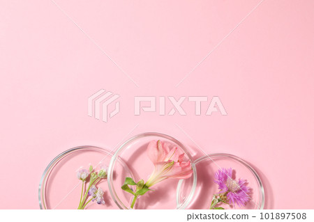 Concept of biology research, space for text Concept of biology research, space for text 101897508
