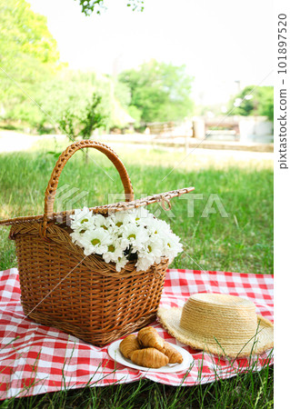 Spending time in nature - picnic, accessories for picnic 101897520
