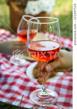 Spending time in nature - picnic, accessories for picnic 101897526