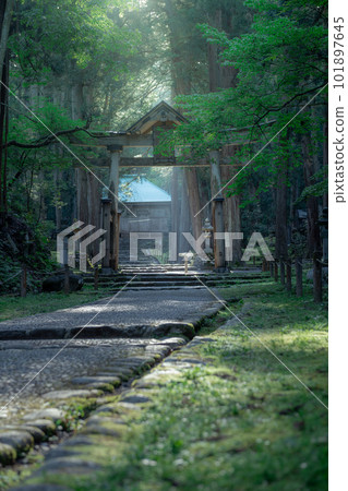 Hiraizenji 101897645