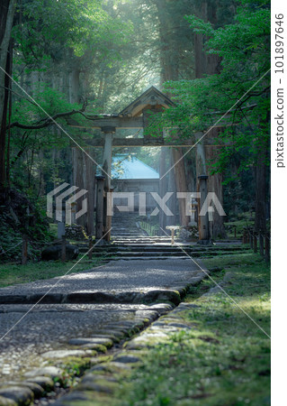 Hiraizenji 101897646