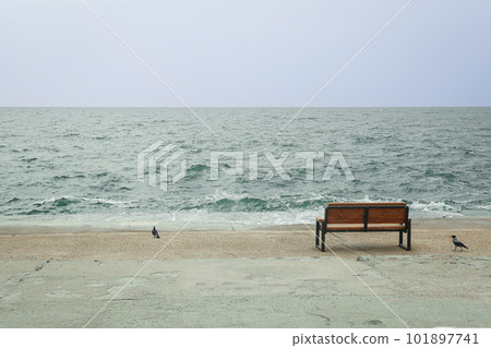Sea view with bench, space for text Sea view with bench, space for text 101897741