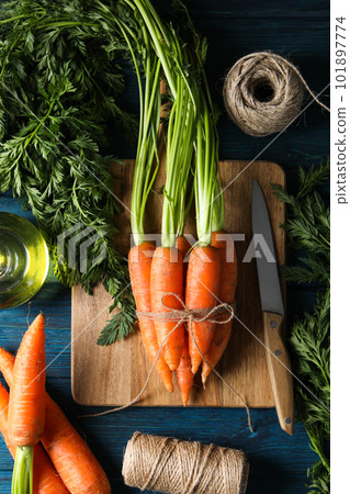 Fresh carrot, concept of harvest, top view 101897774