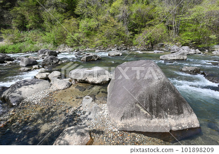 Scenery of fresh greenery and the clear stream of the Naka River [Nasushiobara City, Tochigi Prefecture] 101898209