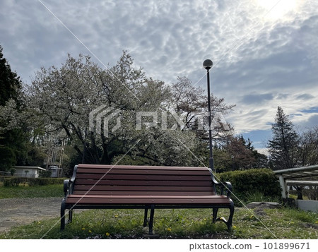 有點孤獨的公園長椅 101899671