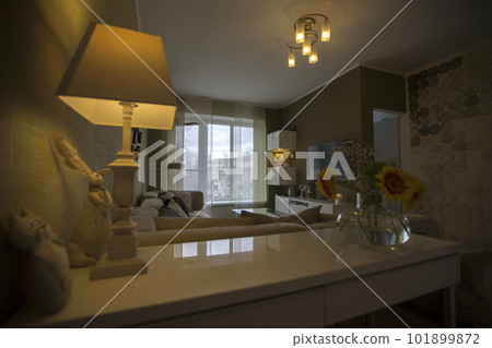 Small flat. Lamp and a vase of flowers in the room 101899872