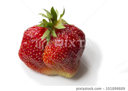Strawberry berry closeup on white background Strawberry berry closeup on white background 101899889