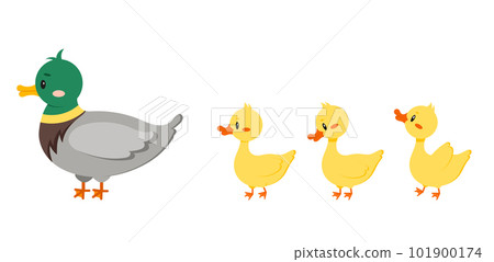 Duck bird with duckling isolated on white background. 101900174