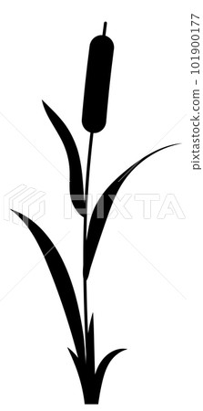 Reed water grass plant vector icon isolated on white background. Reed water grass plant vector icon isolated on white background. 101900177