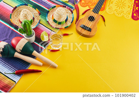 Cinco de Mayo holiday background. Maracas, cactus and hat on yellow background. Cinco de Mayo holiday background. Maracas, cactus and hat on yellow background. 101900402
