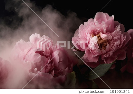 Peony flowers in smoke. Fresh floral. Generate Ai 101901241