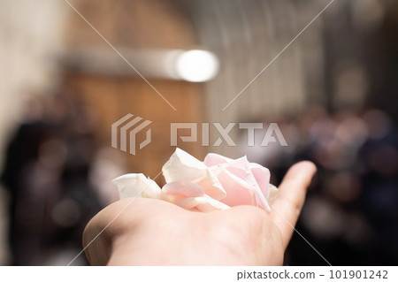 準備花淋浴 101901242