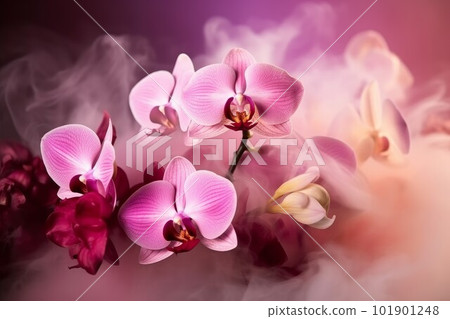 Pink orchids flowers. Natural petal. Generate Ai Pink orchids flowers. Natural petal. Generate Ai 101901248