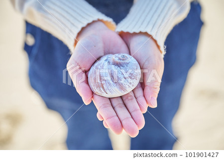 一個年輕女人的手拿著在海灘上撿到的貝殼 101901427