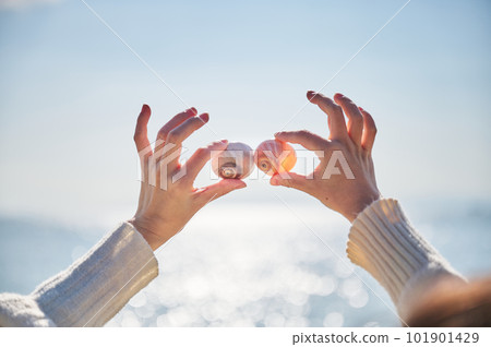 A young woman's hand holds up a shell picked up on the beach 101901429