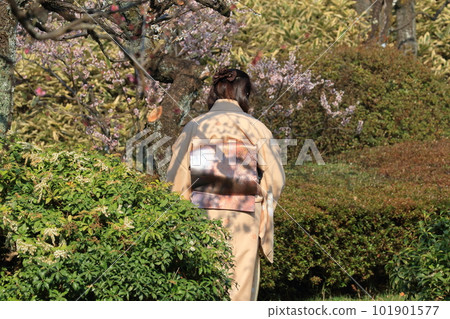 和服女背視帶日式衣服 和服女背視帶日式衣服 101901577